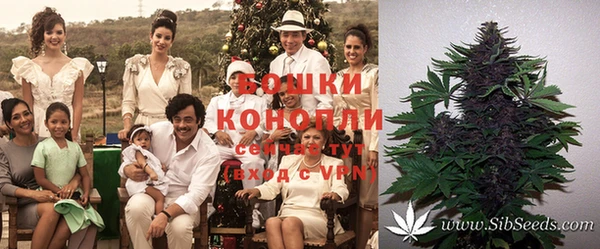 COCAINE Покачи