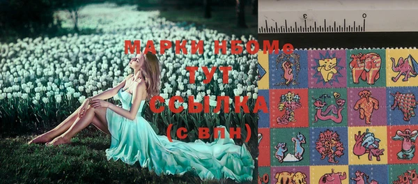 индика Переславль-Залесский